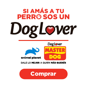 Si amas a tu perro, sos un dog lover