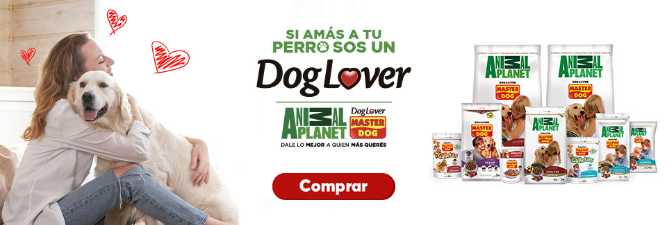 https://www.casarica.com.py/dog_lover?utm_source=BANNER_C1&utm_medium=WEB&utm_campaign=MASTERDOG&utm_id=MASTERDOG&utm_term=BANNER&utm_content=C1