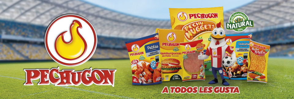 https://www.casarica.com.py/productos?q=pechugon